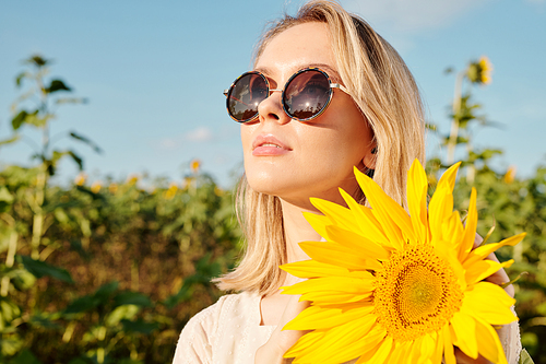 Joyous young female in sunglasses and white dress standing by one of large sunflowers in front of camera in the field against clear sky