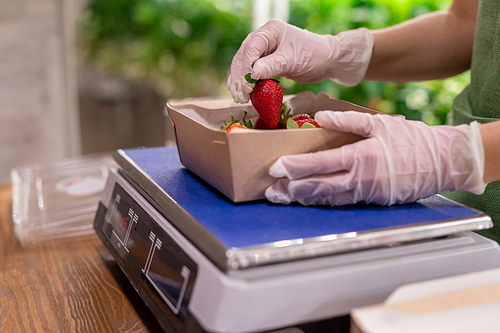 A person in gloves holding a strawberry over box on scales