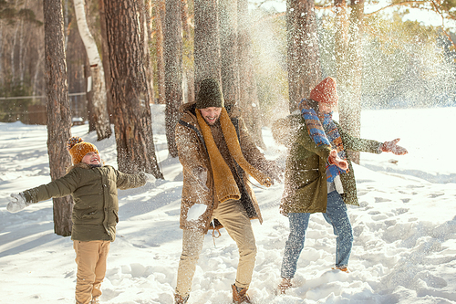 Cheerful young man, his wife and little daughter in warm winterwear playing snowballs while having fun in winter forest among trees