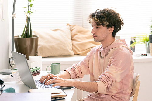 Serious teenager looking at laptop display while networking in home environment