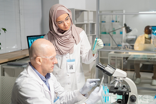 Young serious Muslim female clinician in hijab with flask communicating with mature male colleague pointing at tablet screen