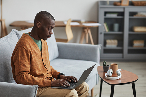 Side view portrait of adult African-American man using laptop while sitting on sofa in modern home interior, copy space