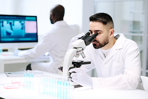Young serious male chemist in whitecoat and gloves looking in microscope by desk with group of flasks containing blue liquid