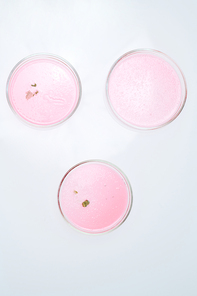 Above angle of three petri dishes containing mold grown in pink substance specially for scientific experiment or investigation