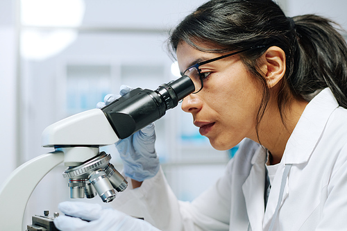 Side view of young serious female biochemist in whitecoat, gloves and eyeglasses looking in microscope during scientific research
