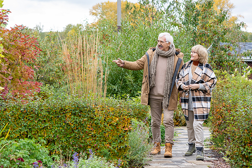 Happy senior couple in warm casualwear moving down narrow road between bushes and trees while discussing plants in their garden