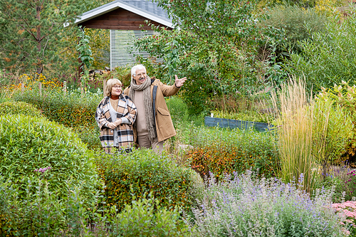 Happy senior man in warm casualwear pointing at green plants growing in the garden while talking to his wife between bushes and trees