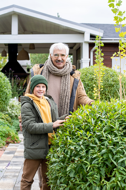 Happy grandson and grandfather in warm casualwear standing by green bush in front of camera in the garden by their country house