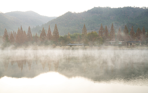 나주 오봉제의 아침 풍경