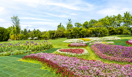 푸른 초원 위 아름다운 꽃밭(순천만국가정원)