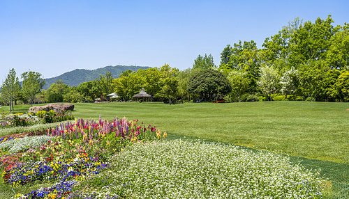 푸른 초원 위 아름다운 꽃밭(순천만국가정원)