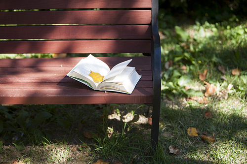 maple leaf is good for use as a bookmark.