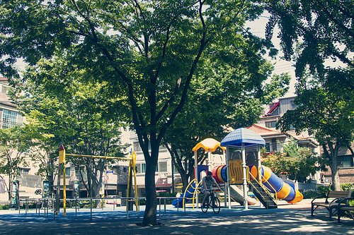 여름 서울의 작은 공원