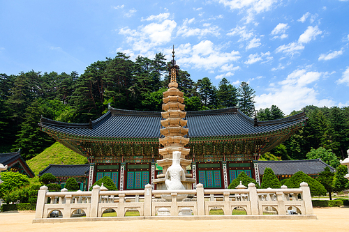 한국의 절