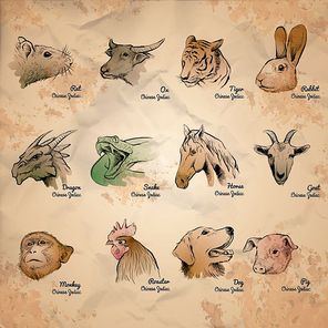 collection of chinese zodiac symbols