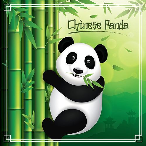 chinese panda