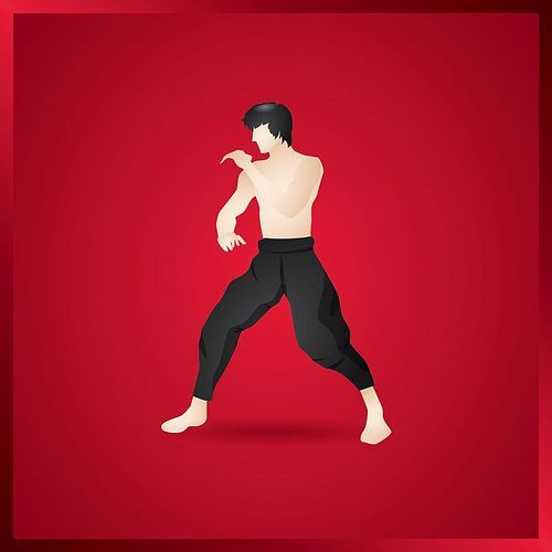 kung fu fighter in fighting stance