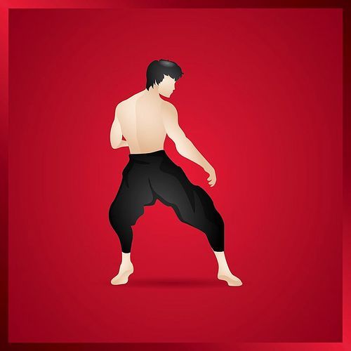 kung fu fighter in fighting stance