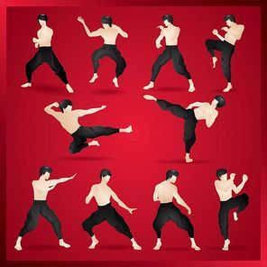kung fu fighter in various fighting stance