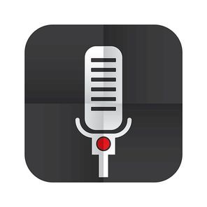 voice record icon