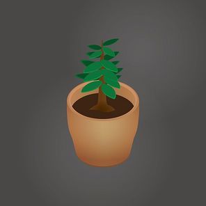 isometric potted plant