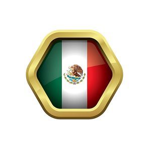 mexico flag icon