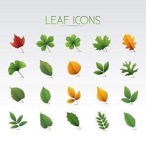 leaf icons set