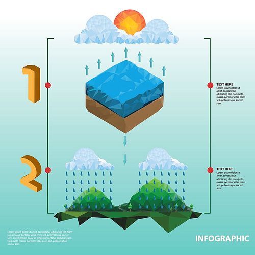 nature infographic