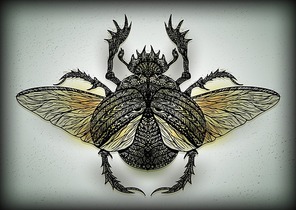 intricate insect design