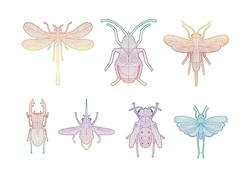 collection of intricate insect designs