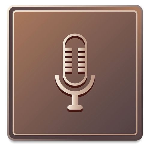 sound recorder icon