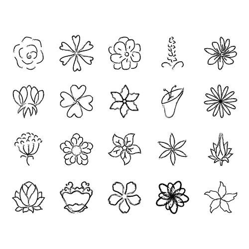 collection of hand drawn flowers