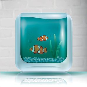 a pair of clownfish in aquarium