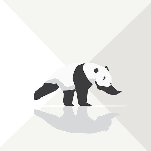 panda