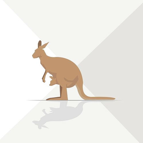 kangaroo