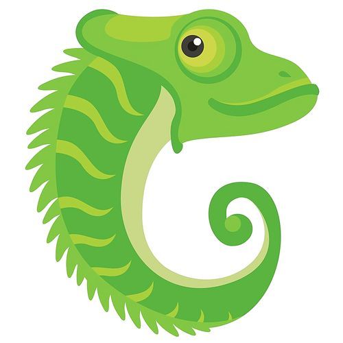 Letter c for chameleon