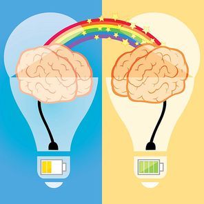 two connected bulbs with brain