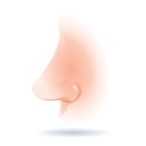 human nose