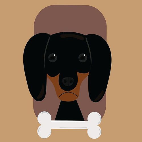 miniature dachshund dog with bone