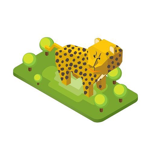 isometric leopard