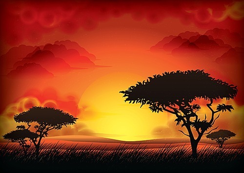 sunset landscape