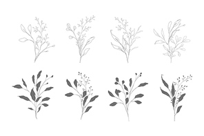 Botanical line art silhouette leaves hand drawn pencil sketches isolated on white. Fine art floral elegant delicate graphic clipart for wedding invitation card. Vector illustration