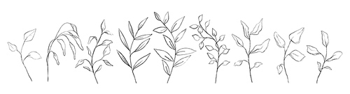 Set of botanical line art floral leaves, plants. Hand drawn sketch branches isolated on white. Vector illustration