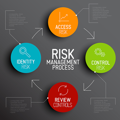 Vector Risk management process diagram schema with description