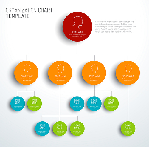 Vector modern and simple organization chart template with profiles