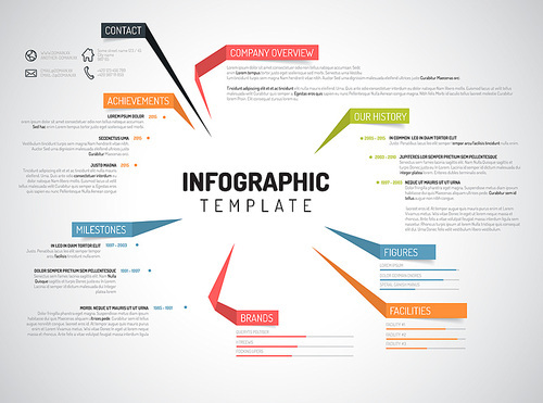 Vector Company infographic overview design template with colorful labels