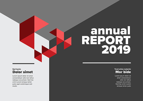 Vector abstract annual report cover template with abstract isometric illustration - black and white   horizontal version with red accent