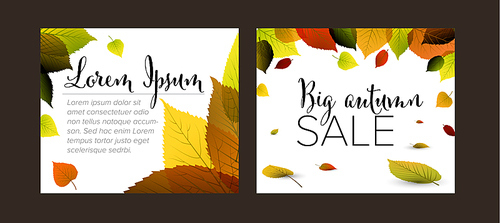 Collection of autumn Inline Medium Rectangle banner templates with fall colored leafs