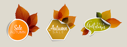 Set of vector autumn discount tickets, labels, stamps, stickers with colorful leafs