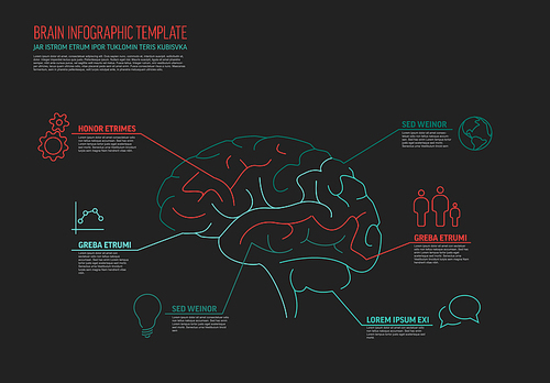 Multipurpose thin line infographic template with human brain and several elements - dark version